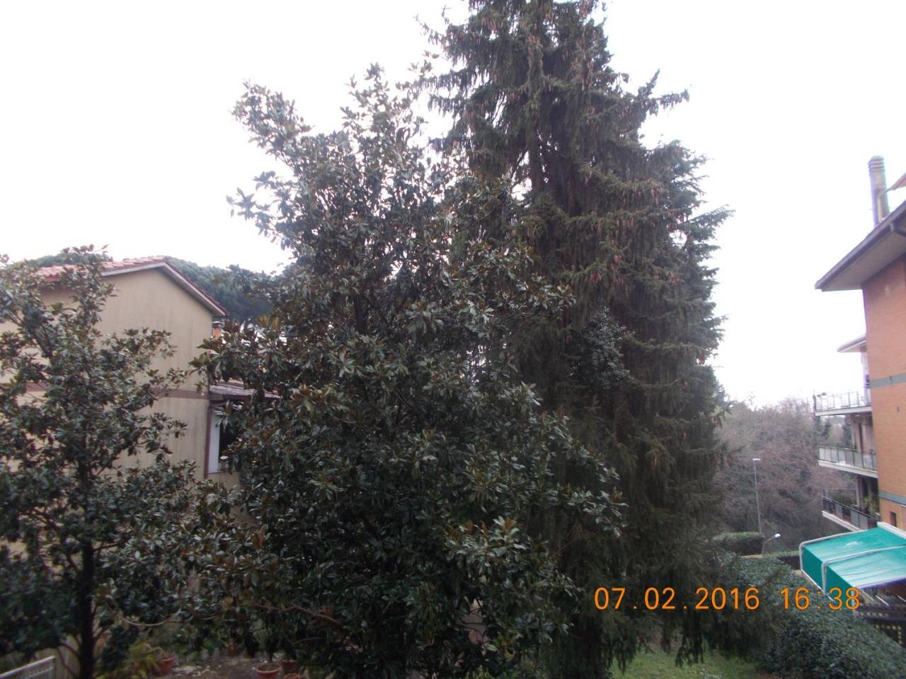 Appartamento I Cedri سان سيساريو المظهر الخارجي الصورة